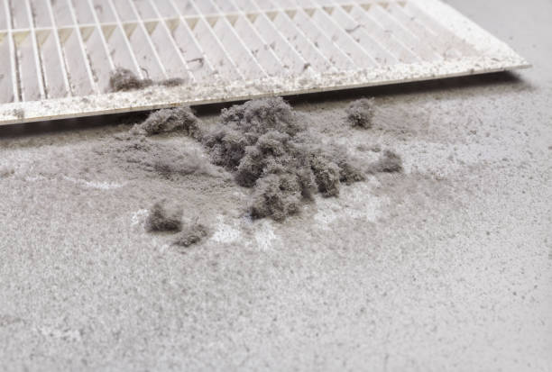 Best HVAC Duct Inspection Services  in Dauphin Island, AL