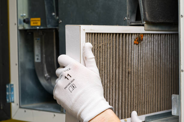 Air Quality Test in Dauphin Island, AL
